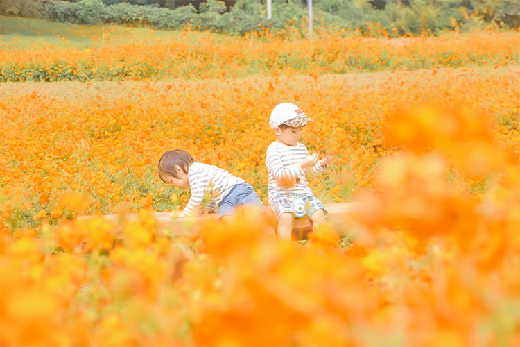 安曇野市