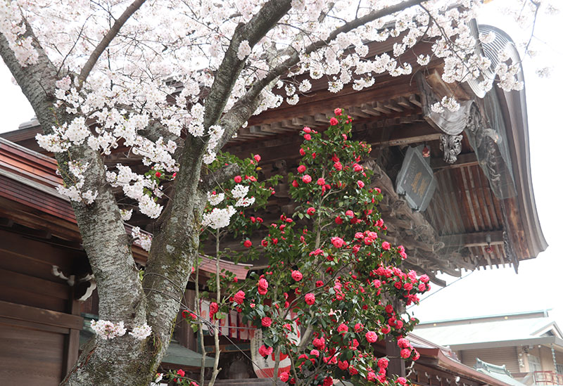 竹駒神社
