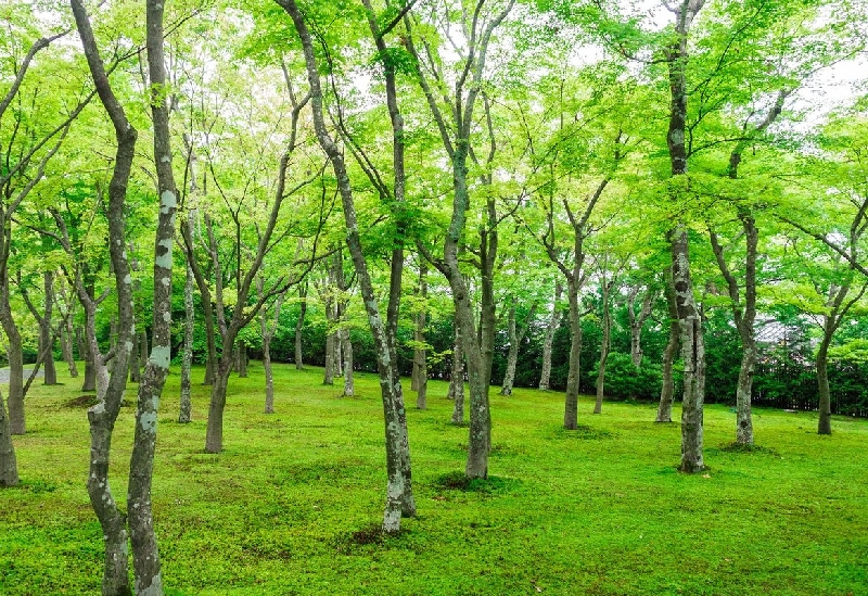 箱根美術館