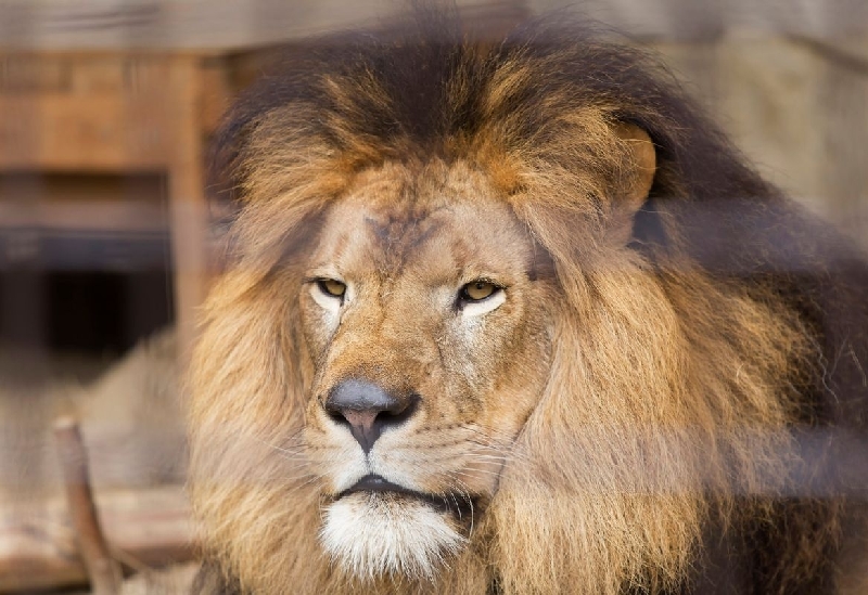 大牟田市動物園