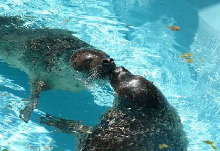 大牟田市動物園