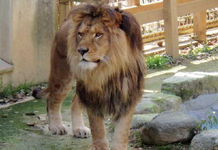 大牟田市動物園