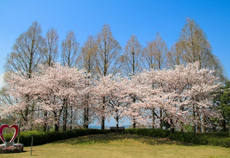 水生植物公園みずの森