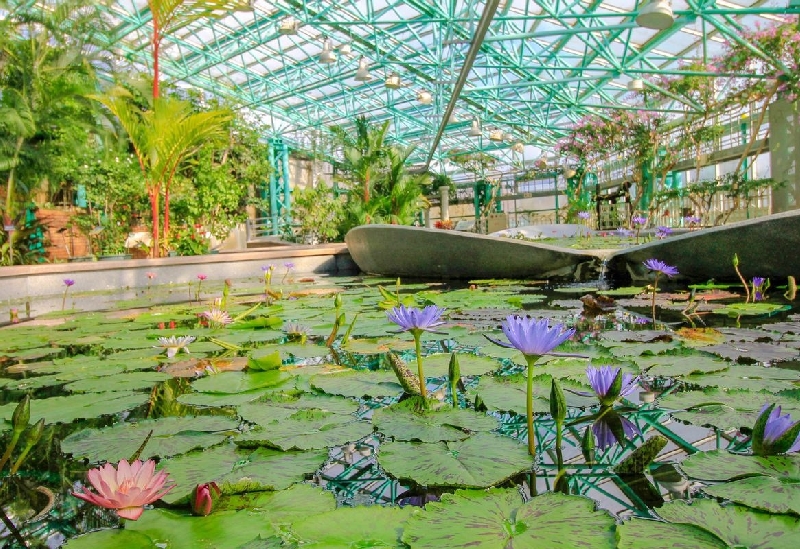 水生植物公園みずの森