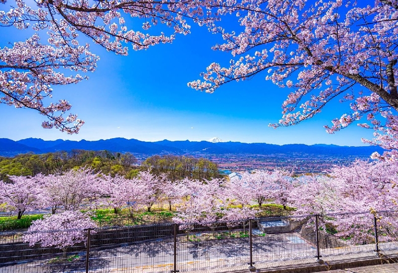 笛吹川フルーツ公園