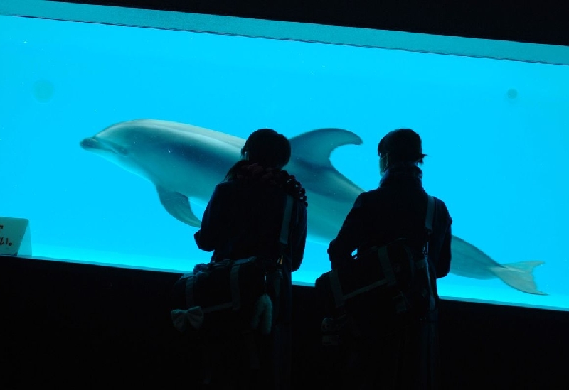 しながわ水族館