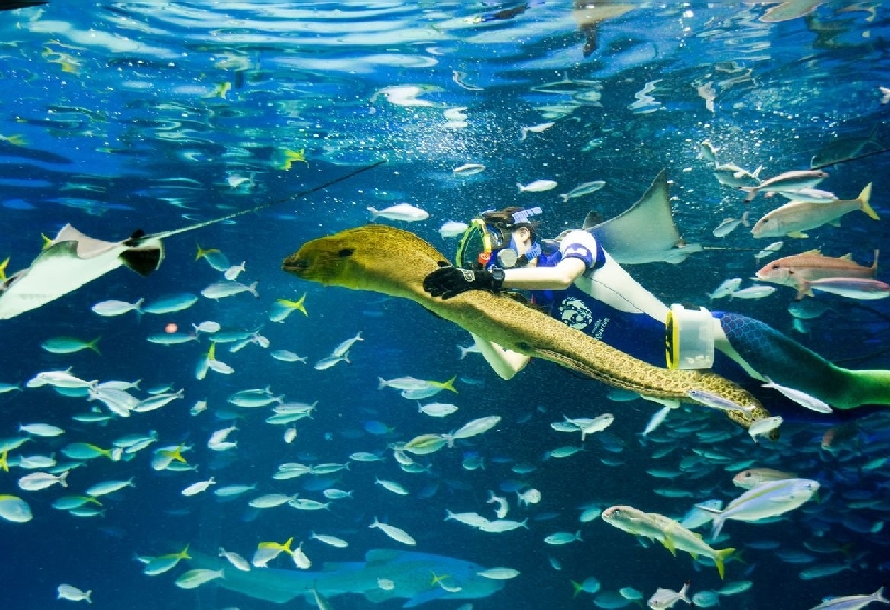 サンシャイン水族館