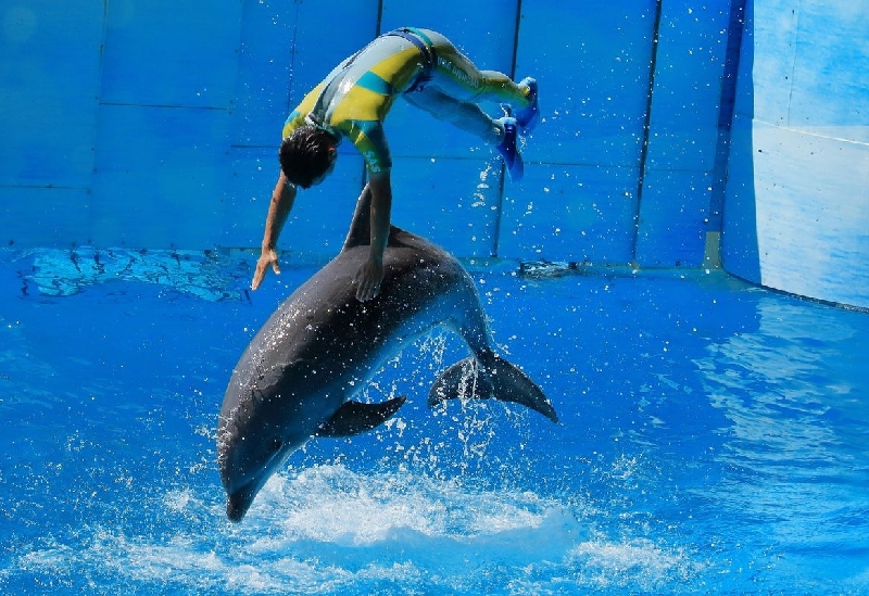 新江ノ島水族館