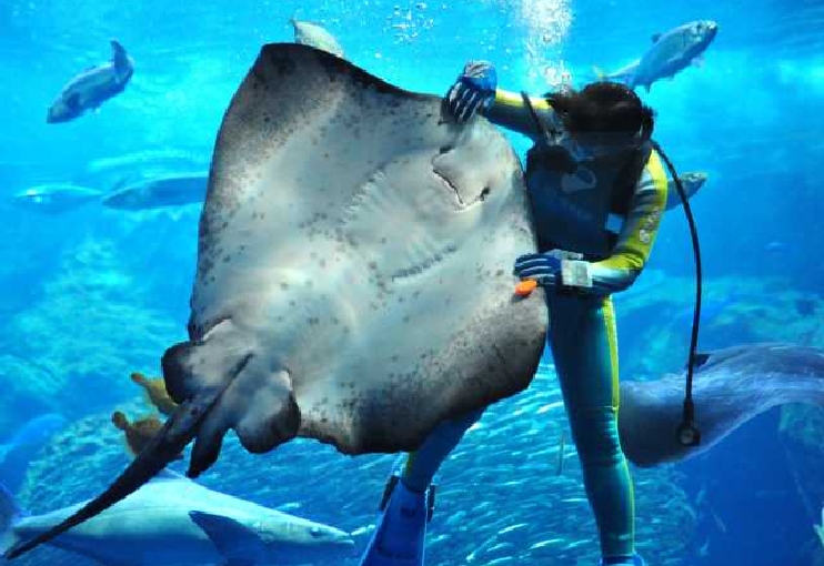 新江ノ島水族館