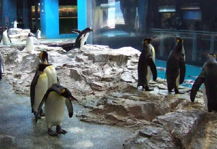 長崎ペンギン水族館