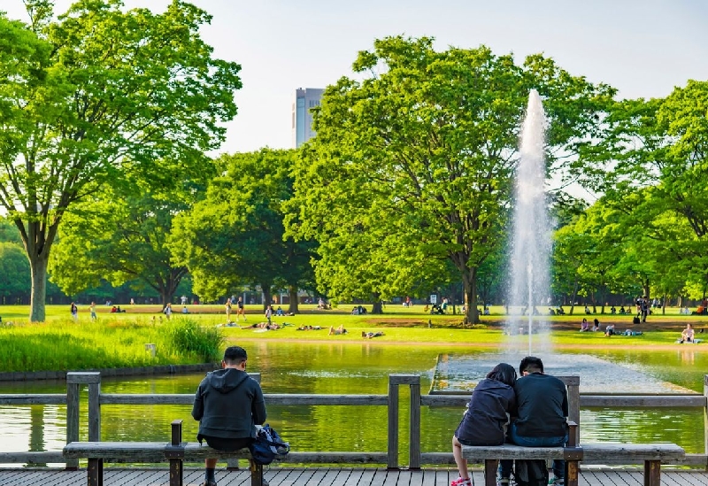 代々木公園