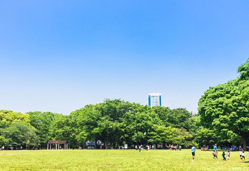 代々木公園