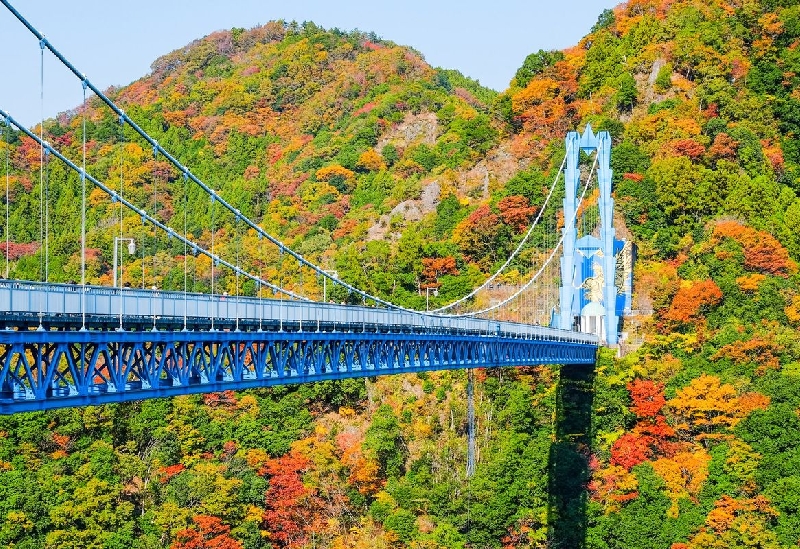 竜神大吊橋