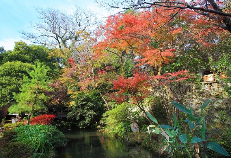 深大寺