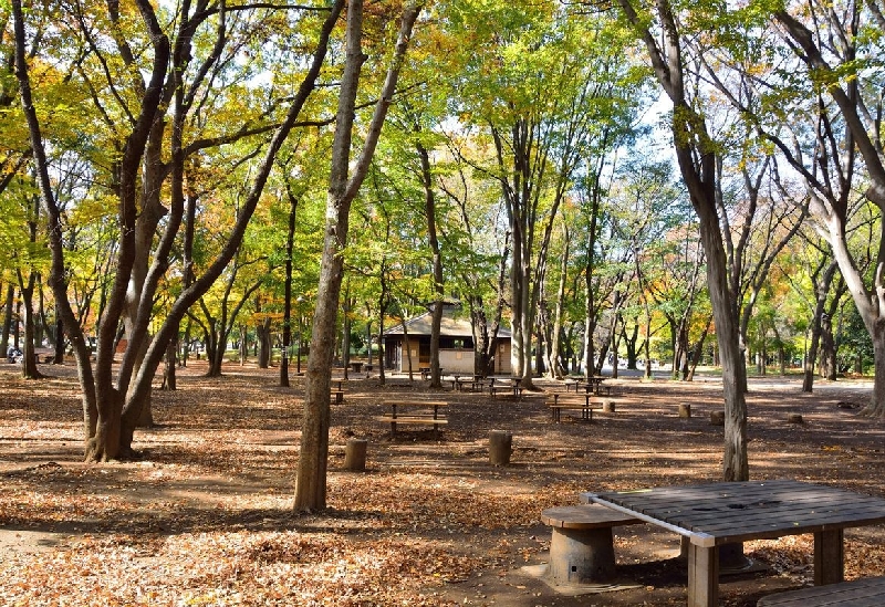 光が丘公園