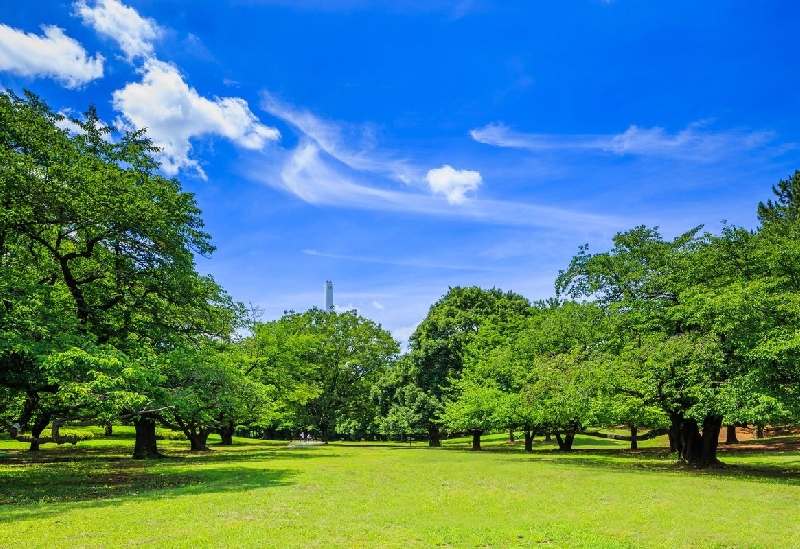 光が丘公園