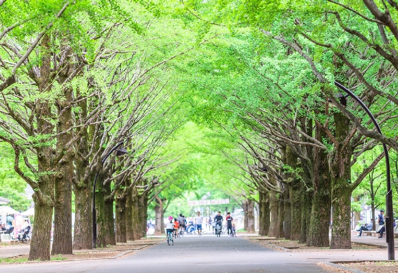 光が丘公園