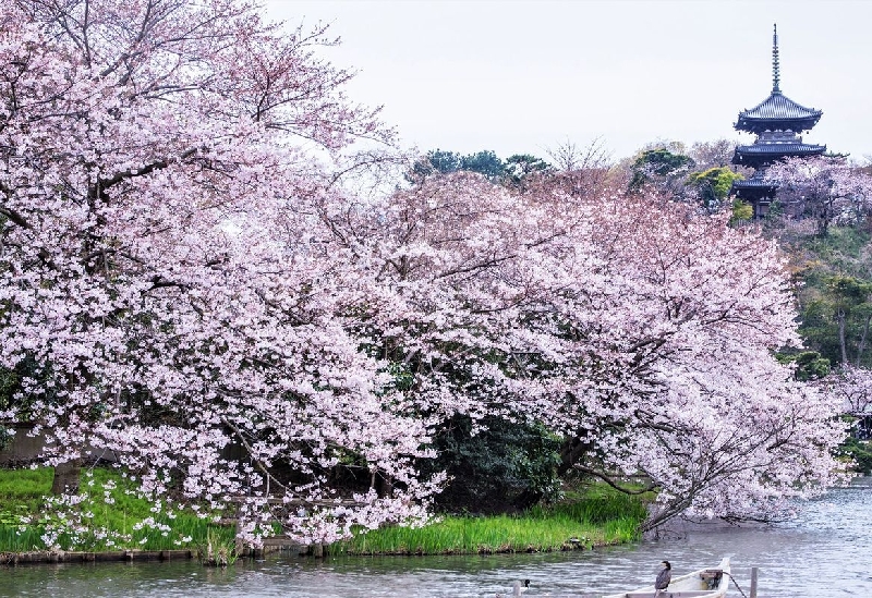 三溪園