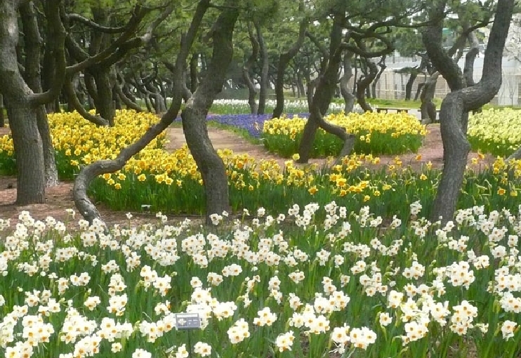 辻堂海浜公園