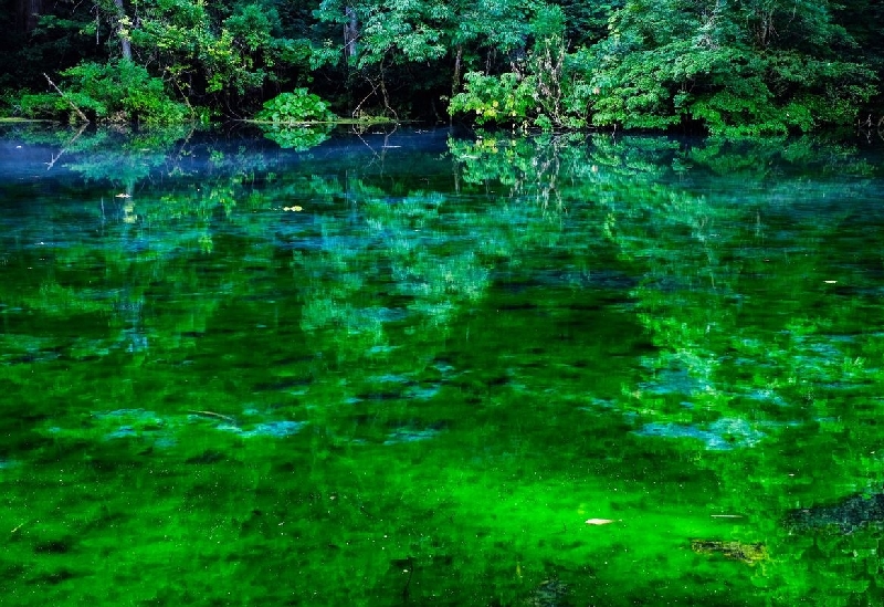 越後湯沢・苗場・魚沼・十日町