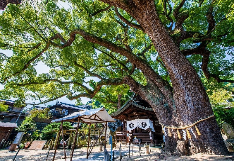 艮神社