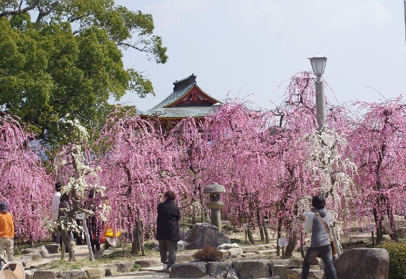 防府天満宮