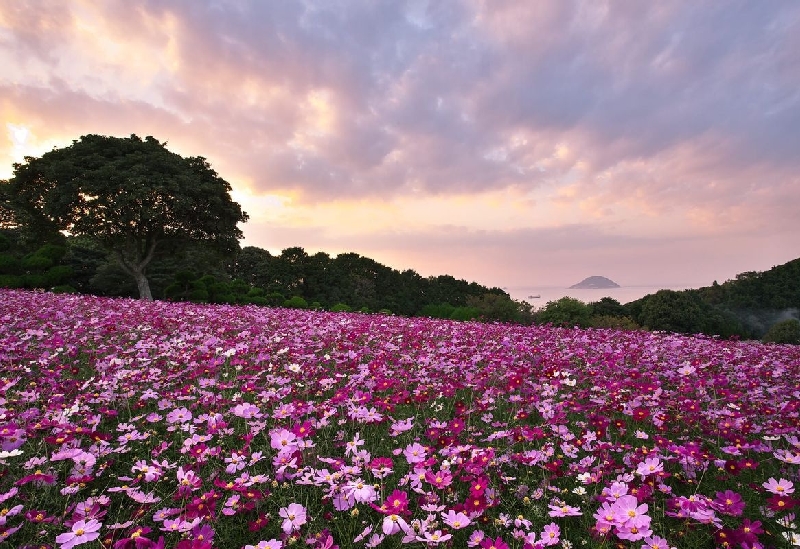 能古島