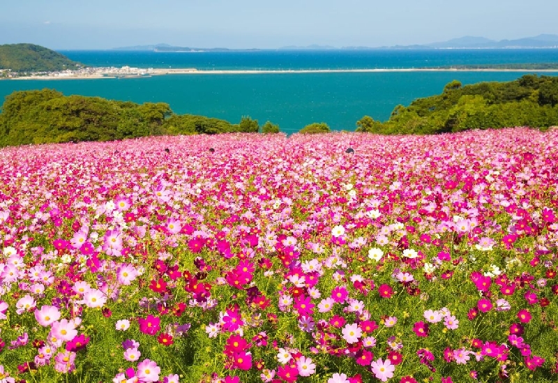 能古島