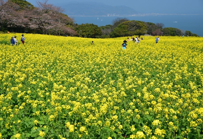 能古島