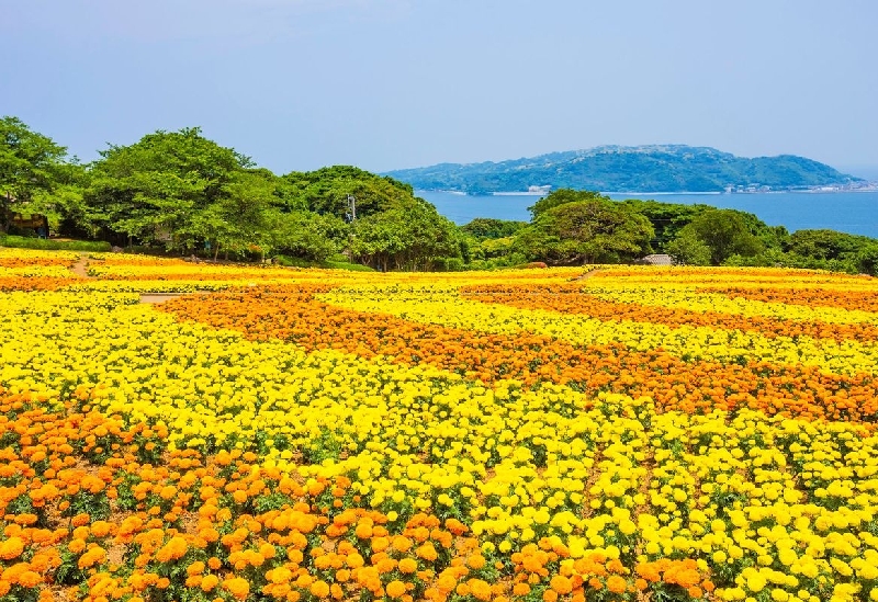 能古島