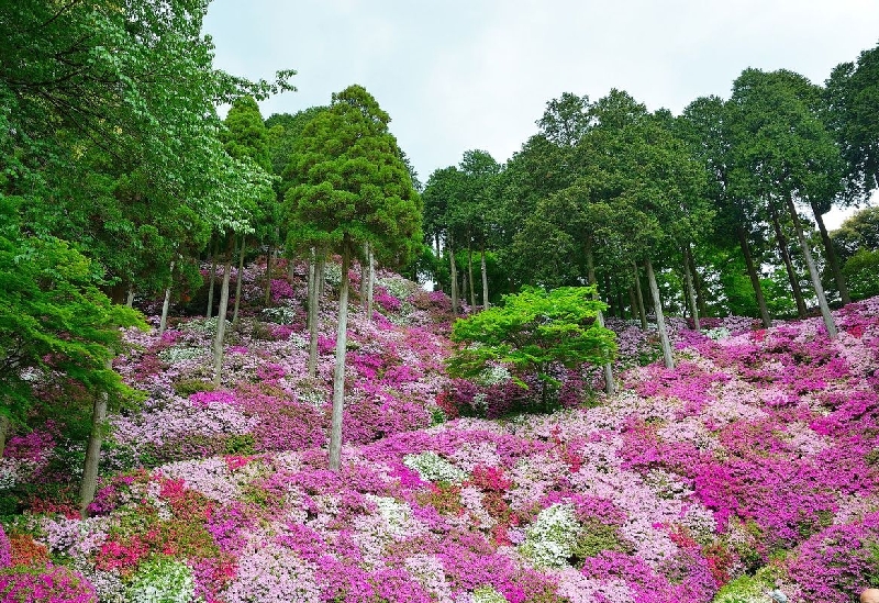 大興善寺