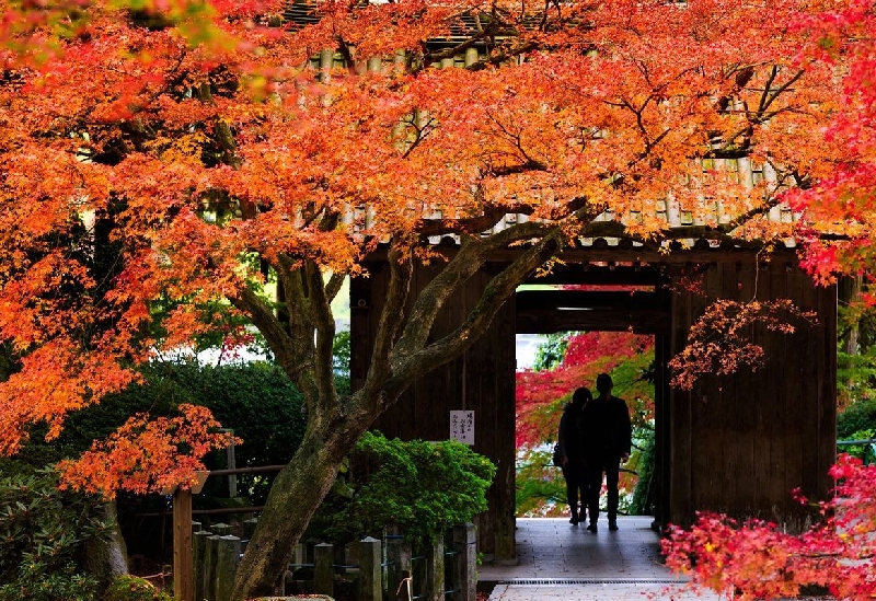 大興善寺