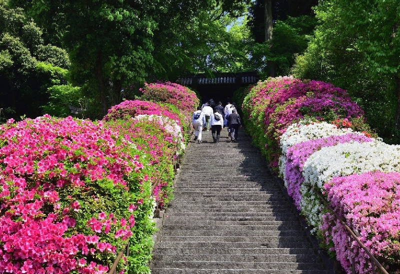 大興善寺