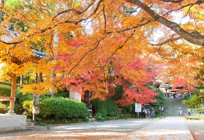 大興善寺