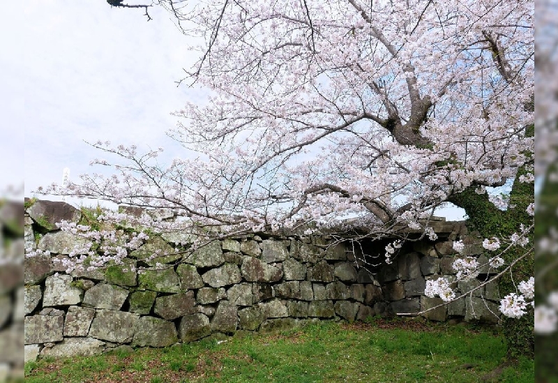 八代・水俣