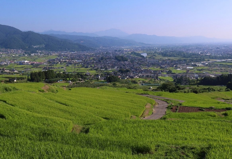 姨捨の棚田