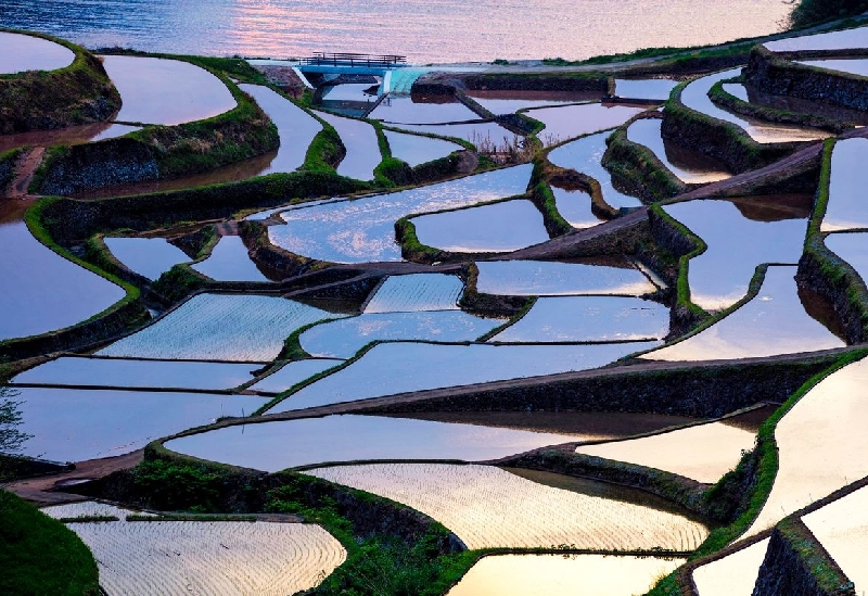 浜野浦の棚田