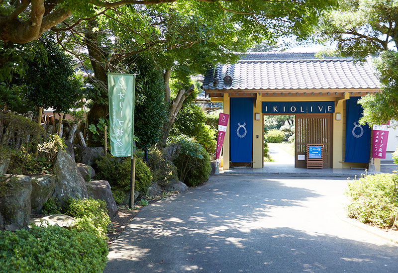 壱岐オリーブ園