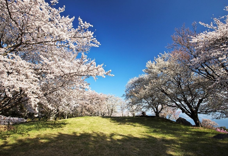 紫雲出山