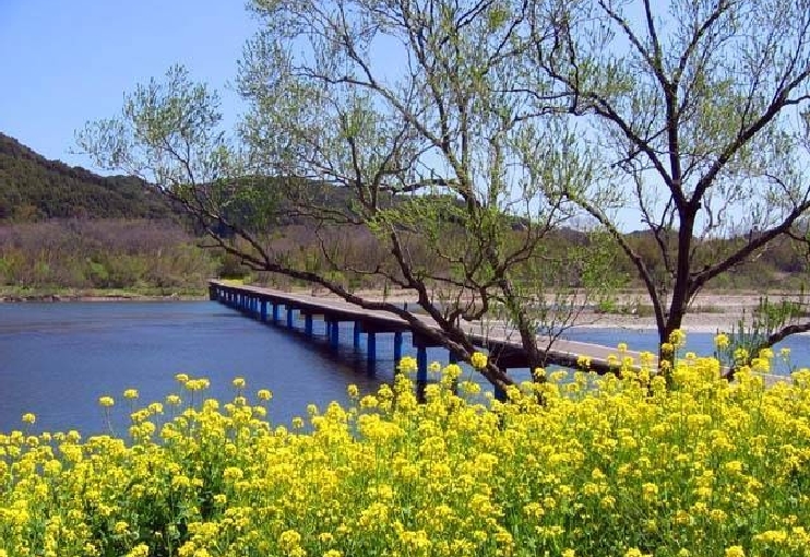 佐田沈下橋（四万十川）