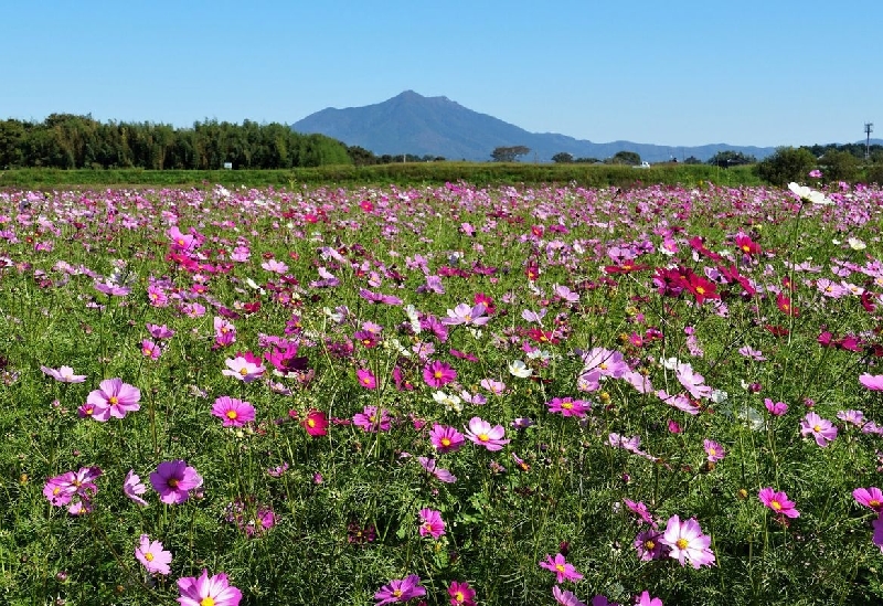 小貝川ふれあい公園