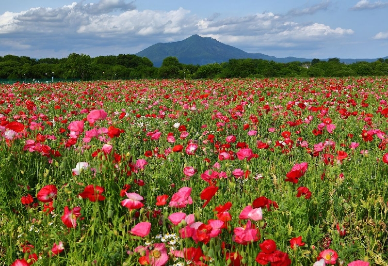 小貝川ふれあい公園