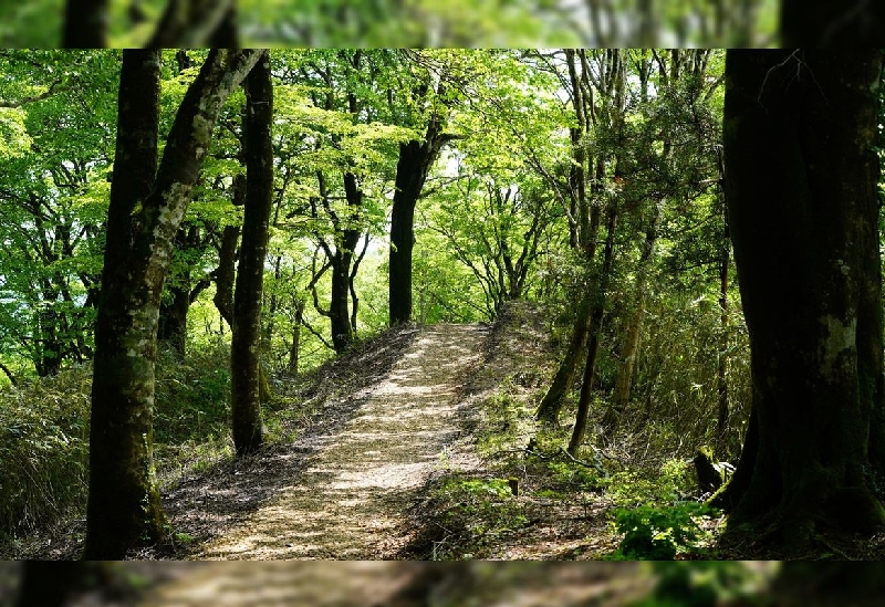 鏡野公園