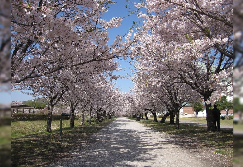 鏡野公園