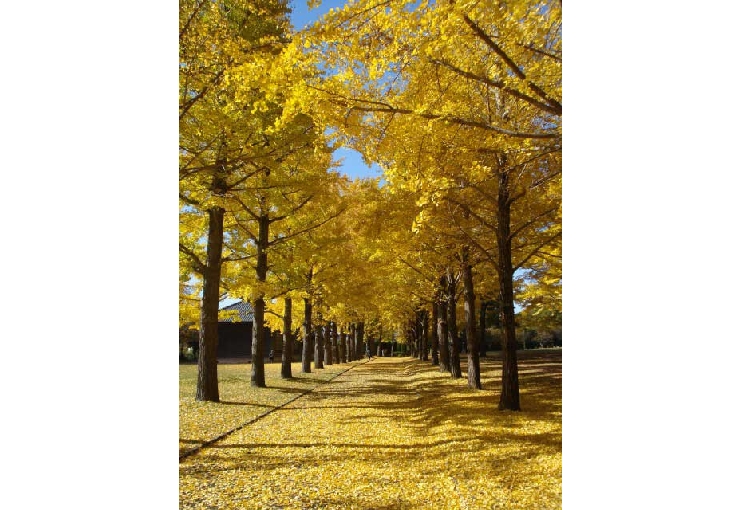 茨城県立歴史館