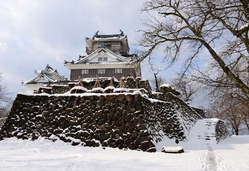 越前大野城