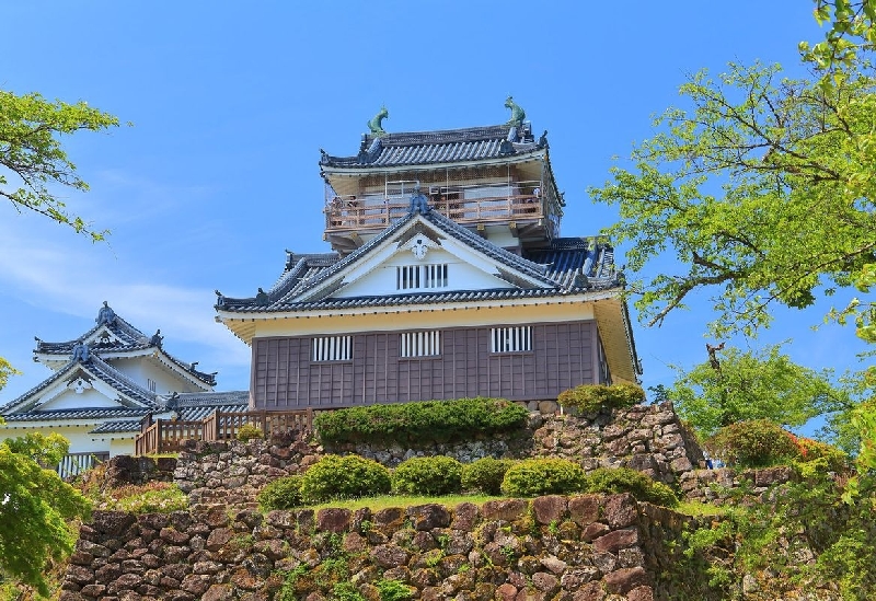 越前大野城