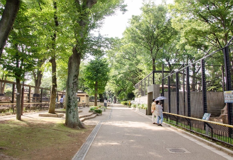 夢見ヶ崎動物公園