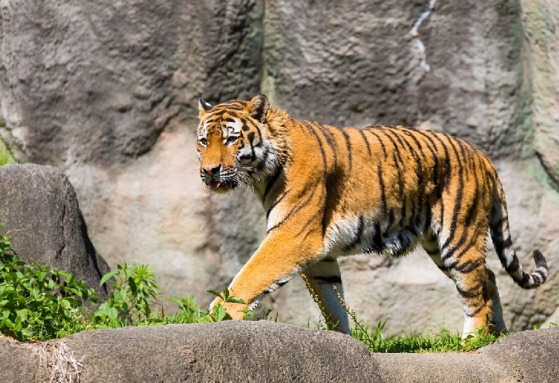 浜松市動物園