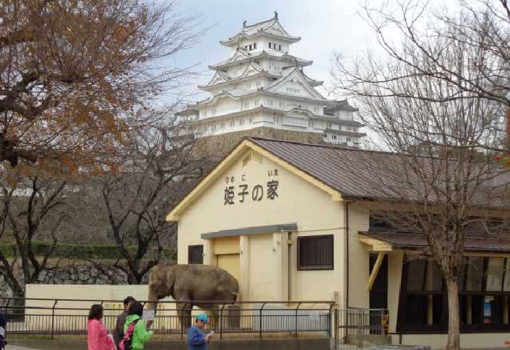 姫路市立動物園